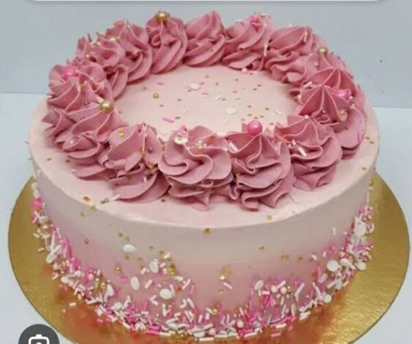 500 GM EGGLISS BLUEBERRY CAKE